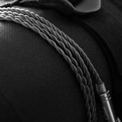 Kinera Celest Tiger Soul Earphone Cable With Microphone Headphones Wir