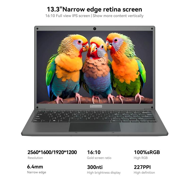 Adreamer LeoBook13 Laptop 8GB RAM 1TB SSD Notebook 13.3-inch 2560X1600