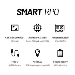 Trimui Smart Pro Handheld Game Console 4.96''IPS Screen Linux System J