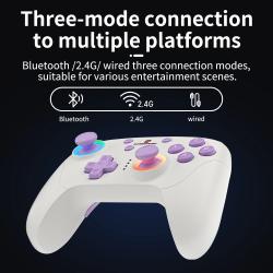 ANBERNIC RG P01 RGP01 Gamepad Wired Wireless Bluetooth RGB Hall Effect