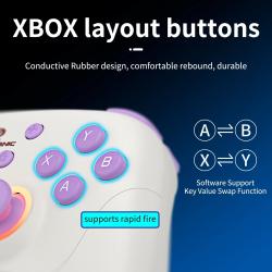 ANBERNIC RG P01 RGP01 Gamepad Wired Wireless Bluetooth RGB Hall Effect