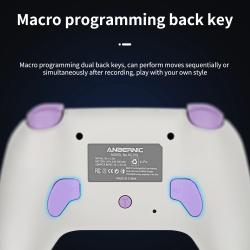 ANBERNIC RG P01 RGP01 Gamepad Wired Wireless Bluetooth RGB Hall Effect