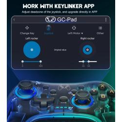 BEBONCOOL RGB Pro Controller Compatible with Nintendo Switch Lite/Swit