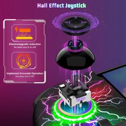 Hall Effect Joystick Switch-Controller for Nintendo Switch/OLED One-Pi
