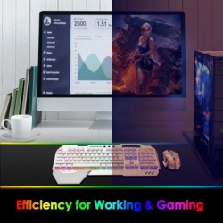 Wireless Gaming Keyboard and Mouse RGB Backlit Rechargeable with Remov