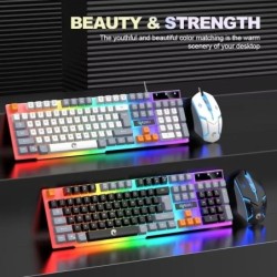 RAIKU T26 Wired 104 Keys Membrane Keyboard And Mouse Suit Kinds of Col