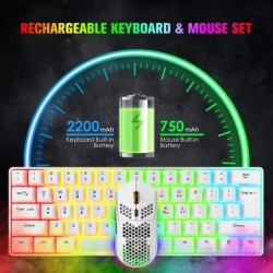 MAMNASNAKE L500 Wireless Gaming Keyboard and Mouse Combo, Mechanical F