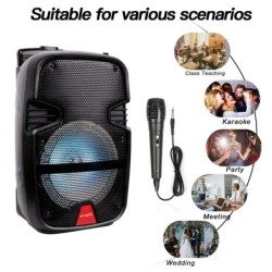 3000 Watts Wireless Portable Party Bluetooth Speaker With Microphone &