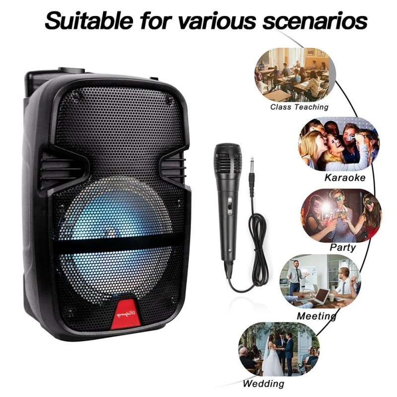 3000 Watts Wireless Portable Party Bluetooth Speaker With Microphone &