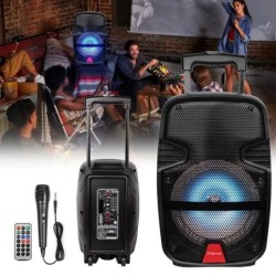 3000 Watts Wireless Portable Party Bluetooth Speaker With Microphone &