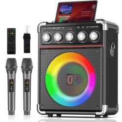 FanFun Karaoke Speaker, Bluetooth Speaker with 2 Microphones and LED L