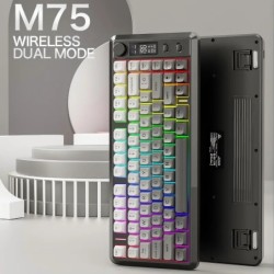 M75 Wireless Keyboard, Bluetooth Dual-mode, PBT Gradient Ball Cap, Wit